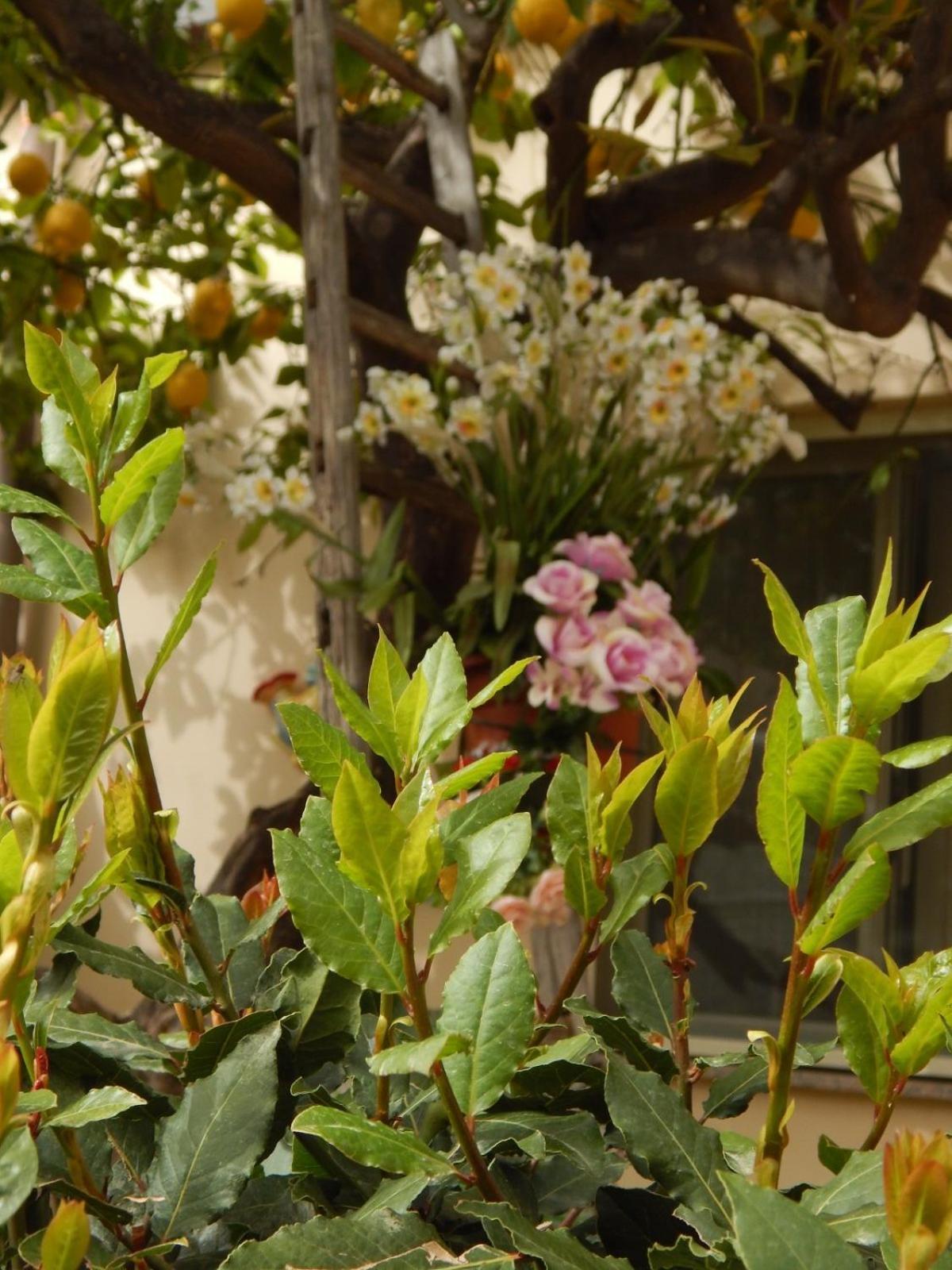 Апартаменты Nel Giardino Di Nunziatina Сиракузы Экстерьер фото