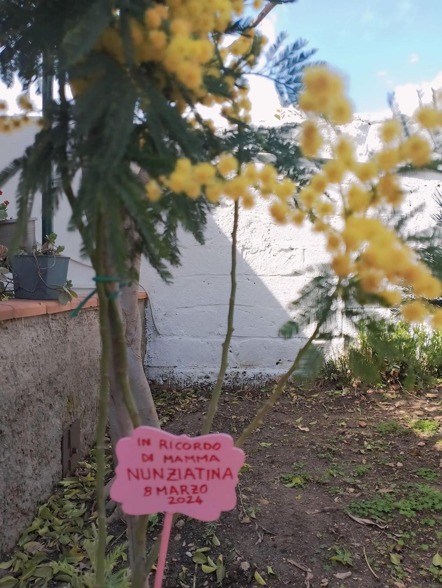 Апартаменты Nel Giardino Di Nunziatina Сиракузы Экстерьер фото